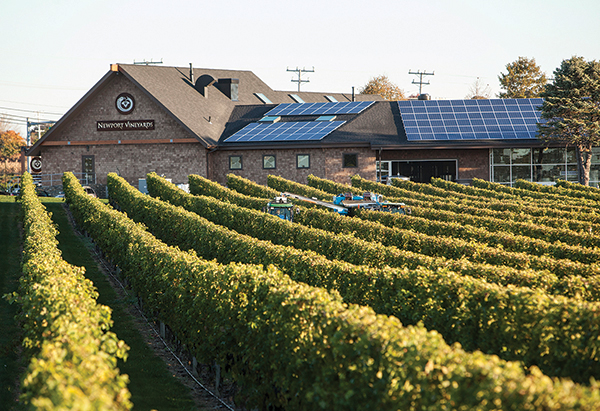 Solar-panelsl-newport-vineyards